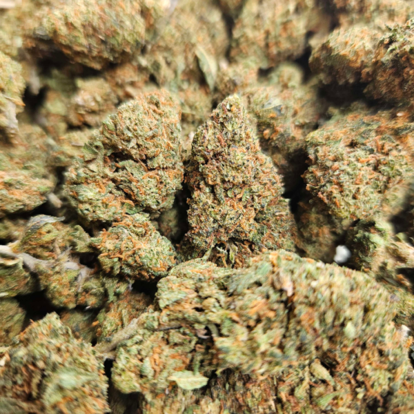 Orange Bud HE