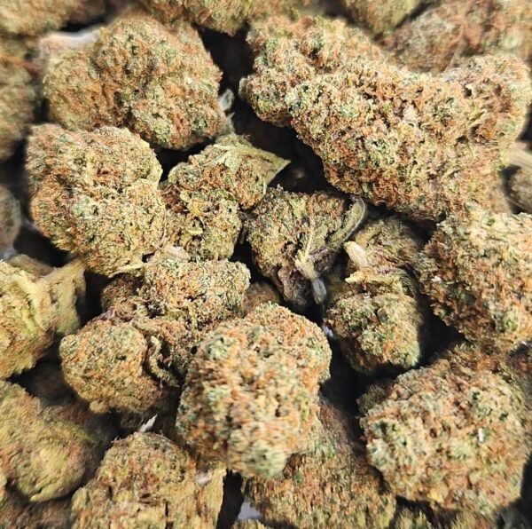 Raspberry Muffin GC
