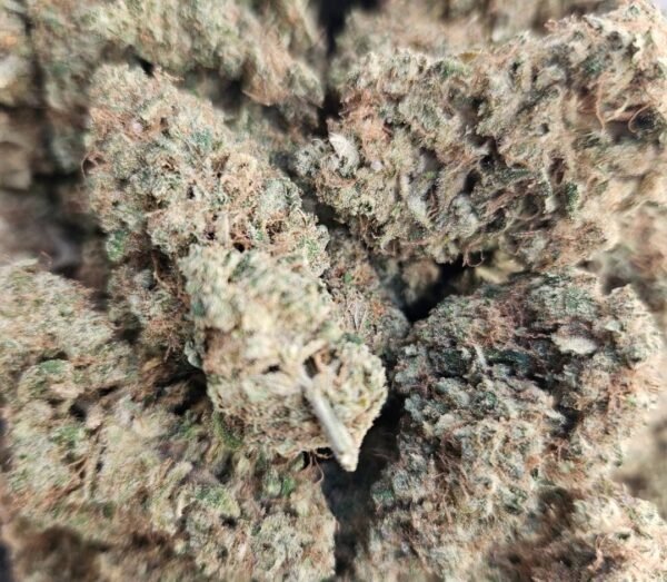 Mela Sour