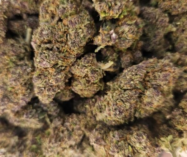 Purple Punch