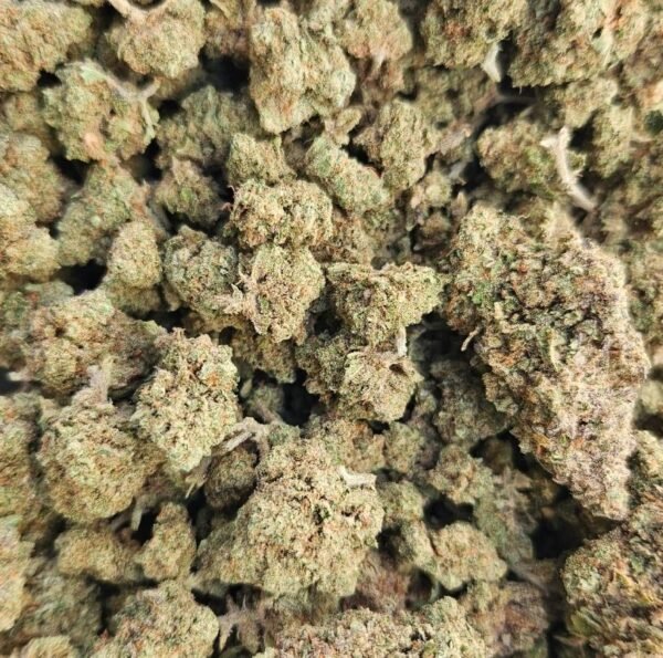 Orange Dream