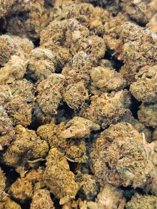 Critical +