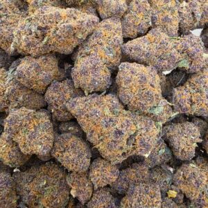 Mandarina Flokie Hydro FR