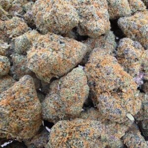 Tangerine Dream Hydro FR
