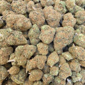 Gelato Hydro FR