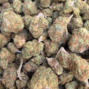 Blueberry